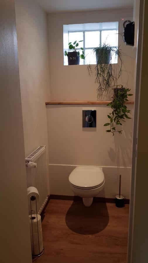 Gite See You Soon - Maisonnette Green Lodge Ribeauvillé Extérieur photo
