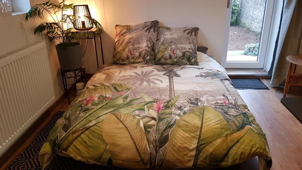 Gite See You Soon - Maisonnette Green Lodge Ribeauvillé Extérieur photo
