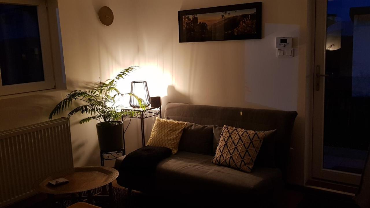 Gite See You Soon - Maisonnette Green Lodge Ribeauvillé Extérieur photo